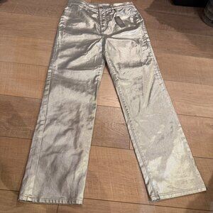 LOFT WOMENS SILVER PANTS NEW 27/4 THE STRAIGHT
